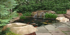 small-backyard-koi-pond-with-waterfall